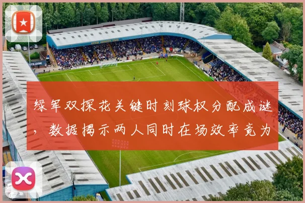绿军双探花关键时刻球权分配成谜，数据揭示两人同时在场效率竟为负值